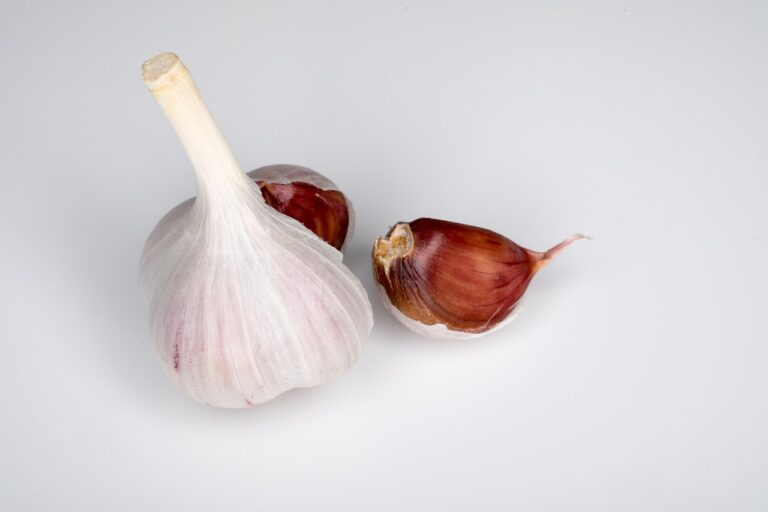 The Role of Exercise in Preventing Osteoporosis