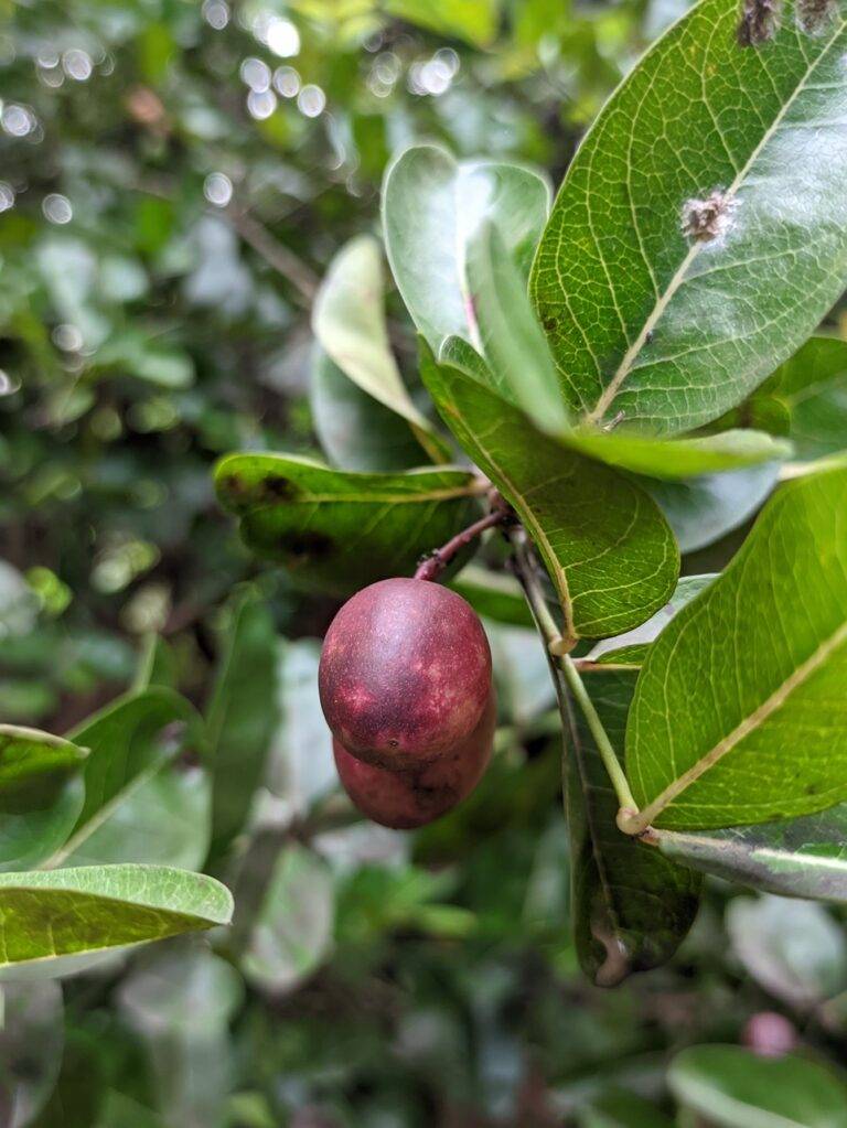 How Political Campaign Ads Influence Political Campaign Rhetoric