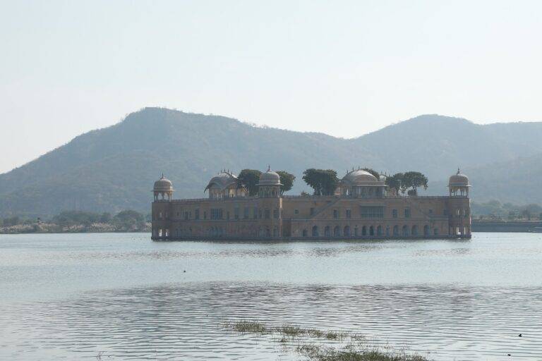 The Impact of Political Campaign Merchandise on Political Campaign Outcomes