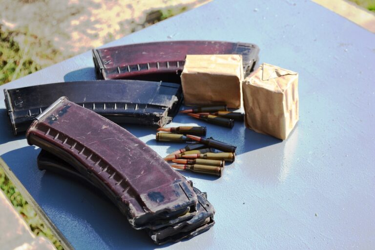 Digital Literacy: Preparing Students for the Digital Age