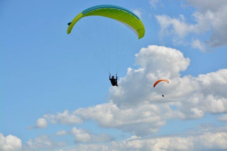 The Impact of IPL on Cricketing Academies: Professional Training for Young Aspirants