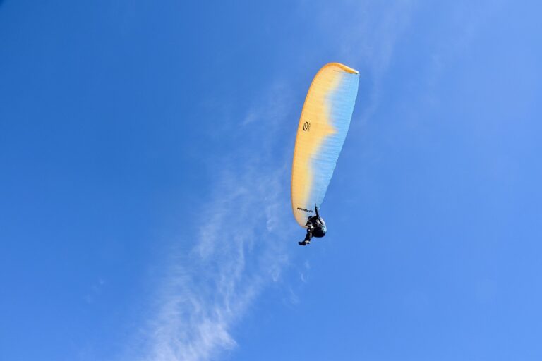 The Role of Cricket Coaches in Shaping Player Careers