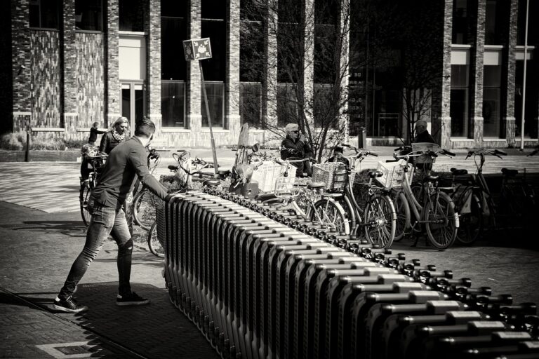 Analyzing the Rise of Online Grocery Delivery Services