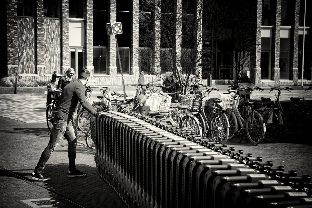 Analyzing the Rise of Online Grocery Delivery Services