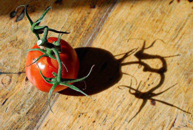 The Future of Food Security: Strategies for Resilience in Uncertain Times