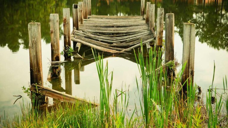 How To Log In To Cricbet99 Club Win Official Site?