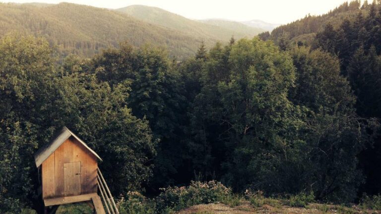 What Is The Correct Method To Sign Up On 99 Exch?